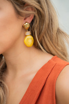 Oorring Scheld drup